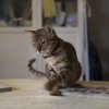050416_sans titre_040-3